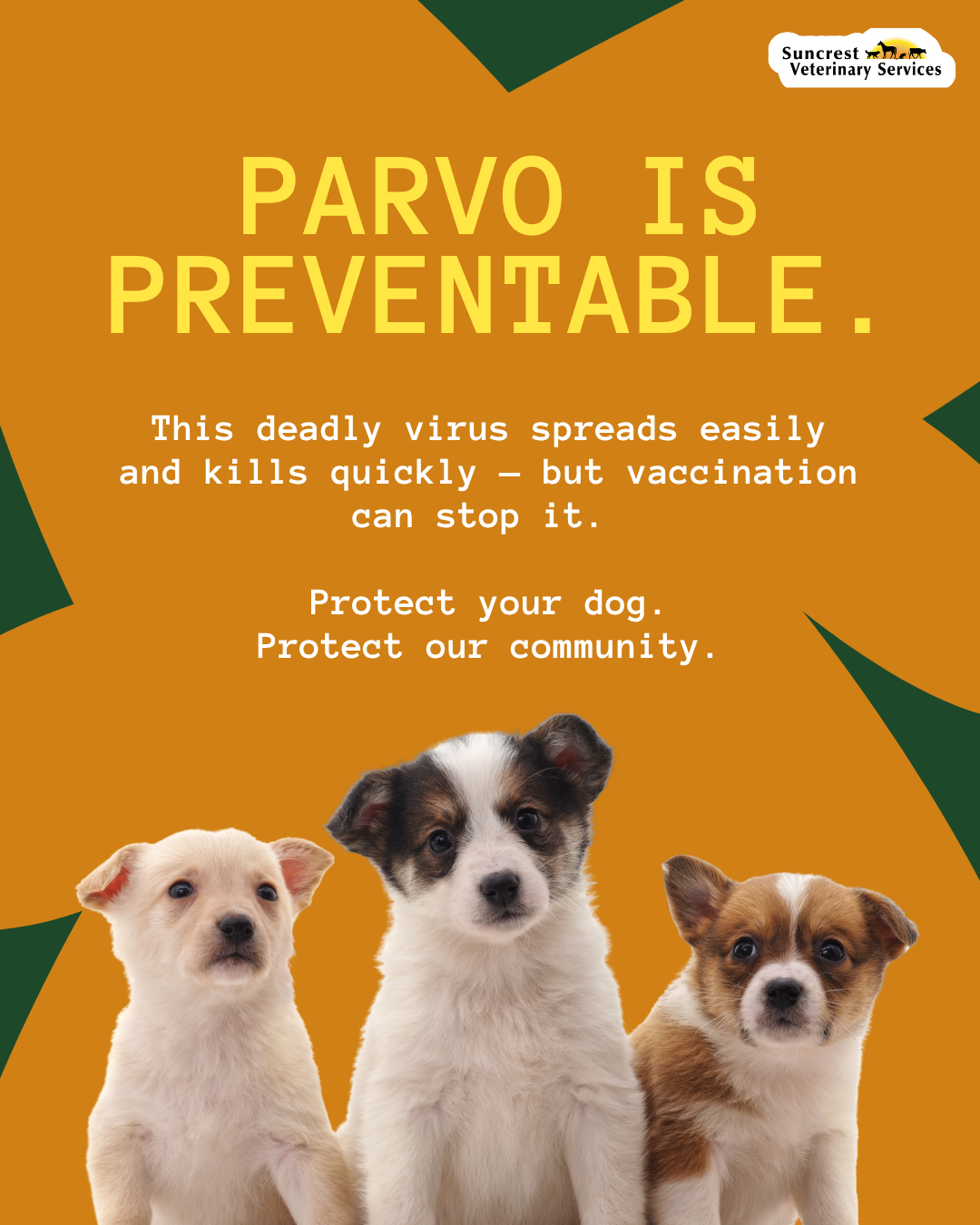 Parvo is preventable!